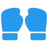 Icon UFC
