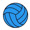 Icon Volleyball